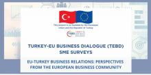 Inquérito sobre Negócios com a Turquia 
