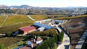 ADEGA MAE - CI video 1